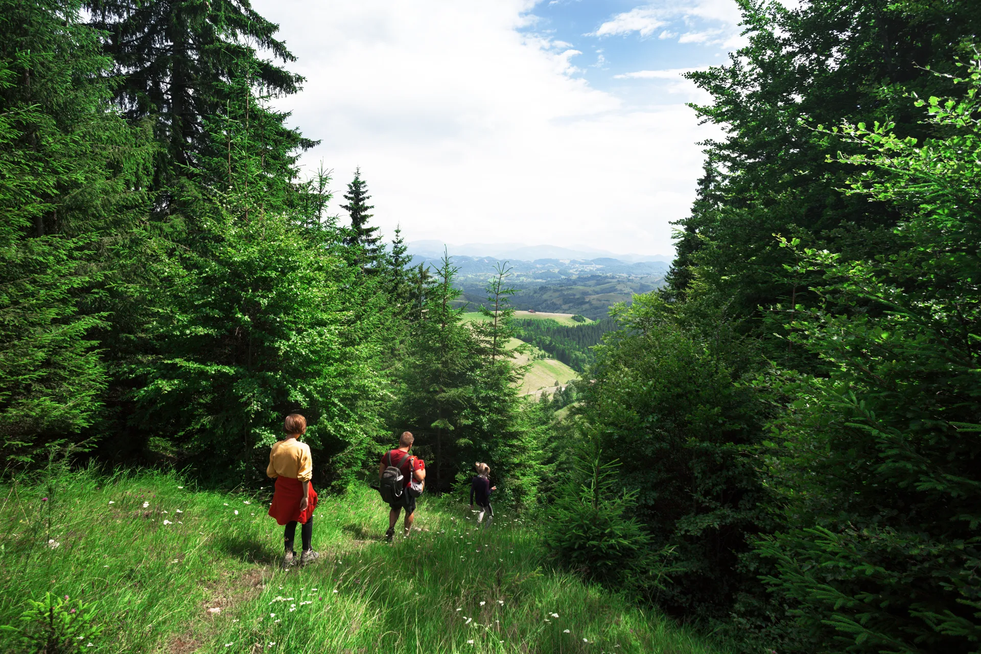 Wandern im Schwarzwald